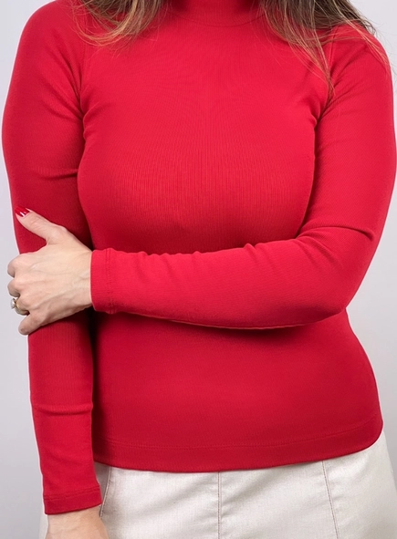 blusa malu manga longa gola alta