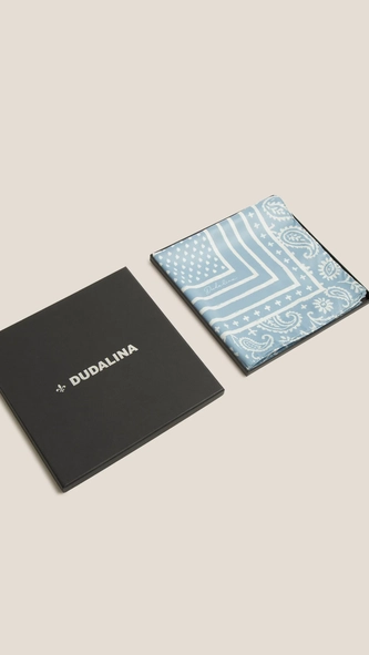 lenço paisley ivana dudalina