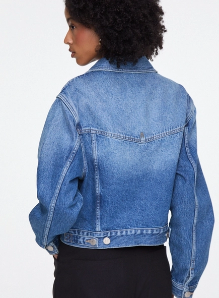 jaqueta jeans basic animale jeans